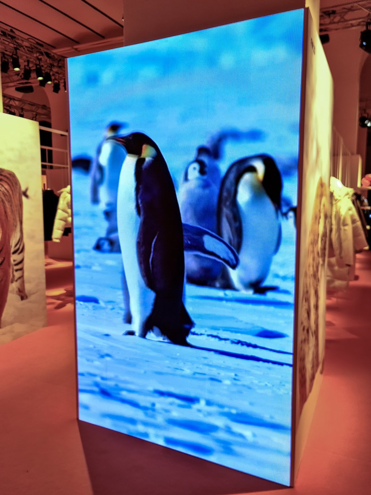 Ledwall Mosaiko installato per Pitti Immagine Firenze — 4